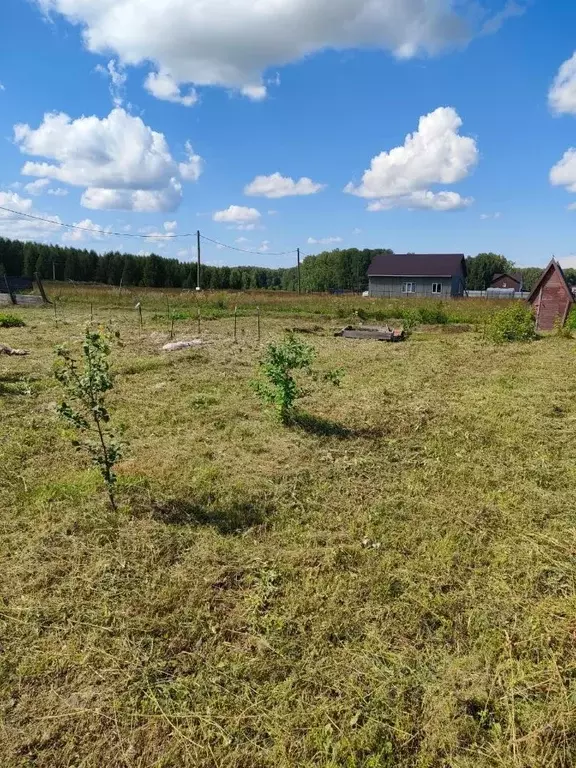 Участок в Новосибирская область, Новосибирский район, Станционный ... - Фото 1