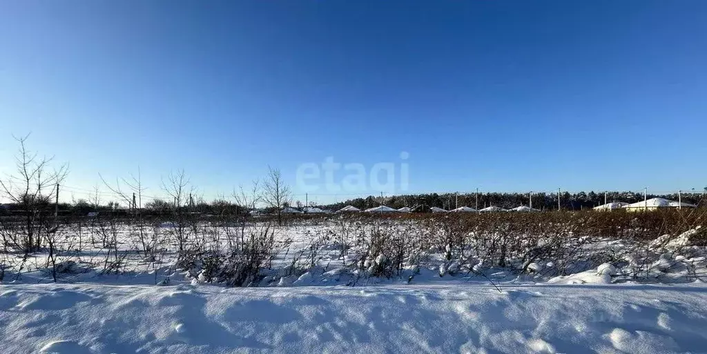 Участок в Татарстан, Лаишевский район, Егорьевское с/пос, д. Зимняя ... - Фото 0