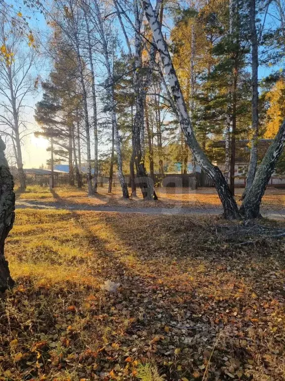 Дом в Курганская область, Кетовский муниципальный округ, с. Введенское ... - Фото 1