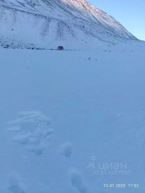 Участок в Алтай, Улаганский район, с. Чибит ул. Новая (12.0 сот.) - Фото 0