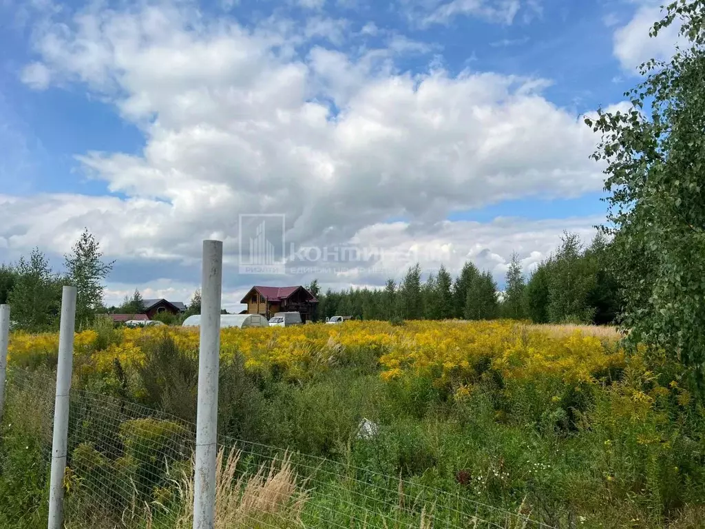 Участок в Владимирская область, Суздальский район, Боголюбовское ... - Фото 0