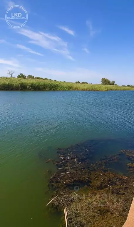 Участок в Краснодарский край, Усть-Лабинский район, Ленинское с/пос, ... - Фото 1