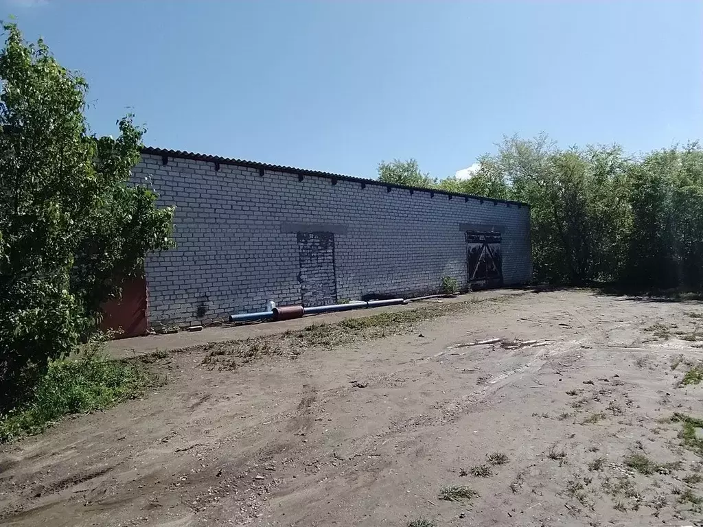 Помещение свободного назначения в Амурская область, Константиновский ... - Фото 1