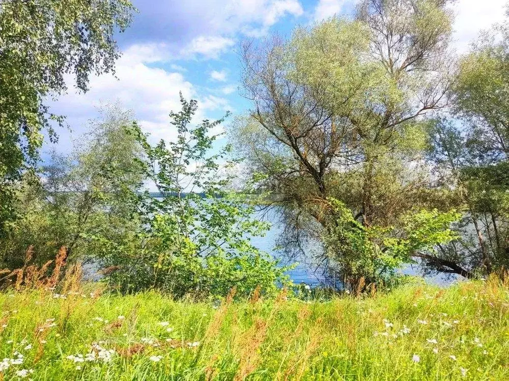 Участок, 200 сот., фермерское хоз-во - Фото 1