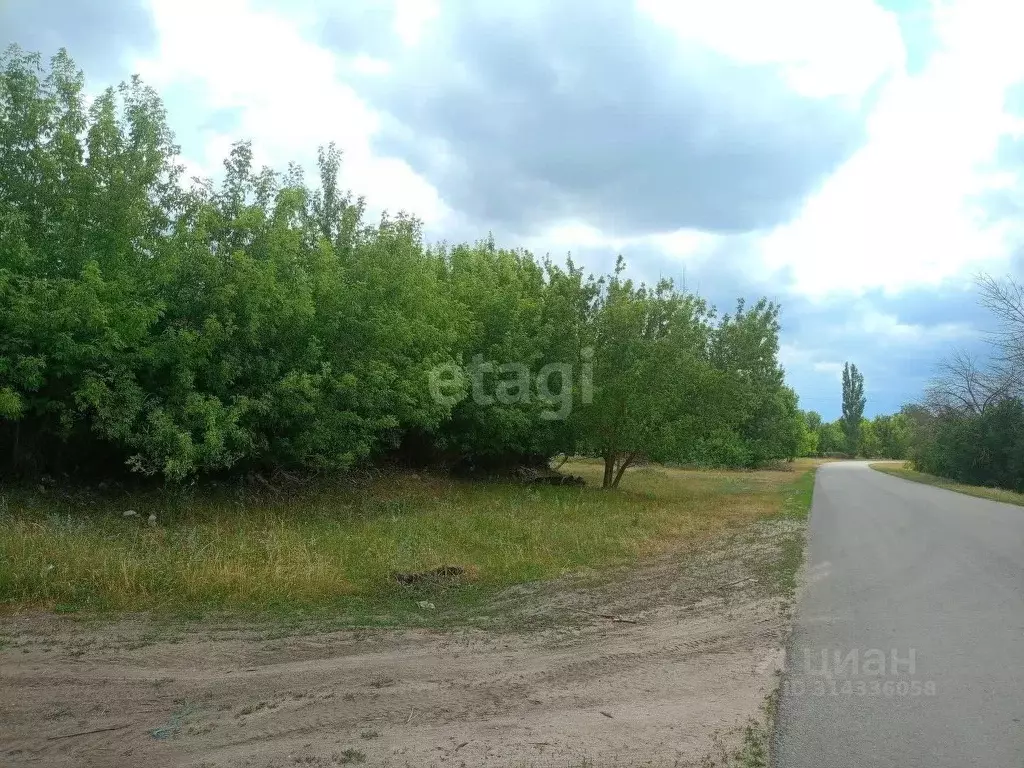 Участок в Воронежская область, Рамонский район, с. Горожанка ... - Фото 1