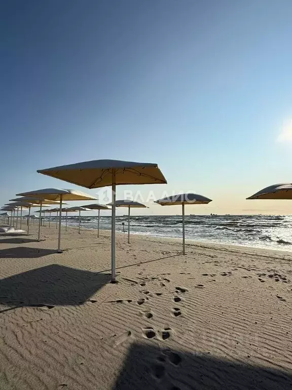 1-к кв. Калининградская область, Балтийск ул. Чехова, 40А (48.9 м) - Фото 1