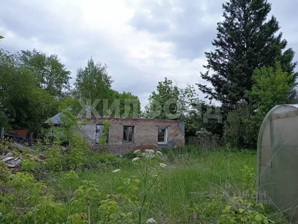 Участок в Новосибирская область, Новосибирск Чернореченская ул., 7 ... - Фото 1