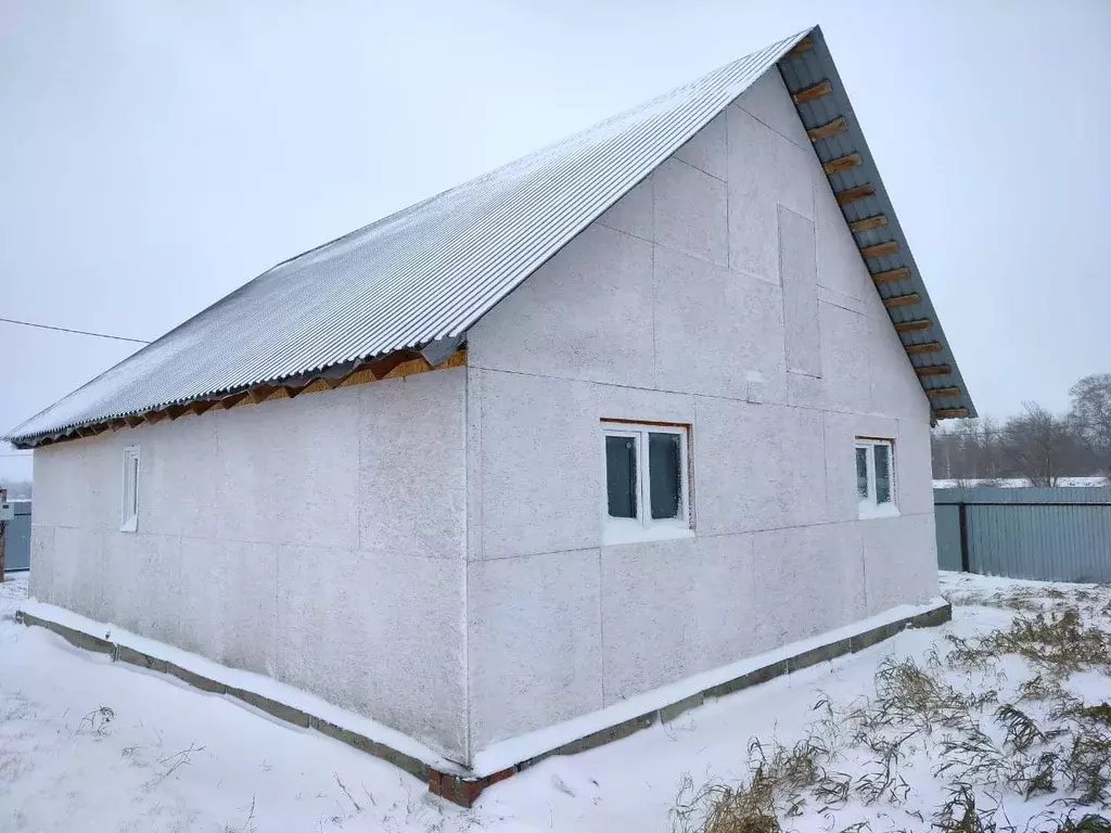 Дом в Омская область, Омский район, с. Андреевка Центральная ул. (85 ... - Фото 1