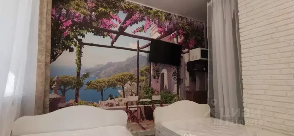 Студия Краснодарский край, Сочи Курская ул., 79 (17.0 м) - Фото 2