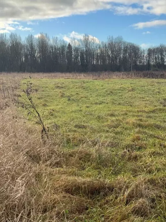 Участок в Ленинградская область, Гатчинский муниципальный округ, д. ... - Фото 2