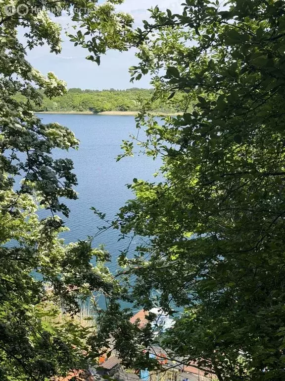Участок в Калининградская область, посёлок городского типа Янтарный ... - Фото 2