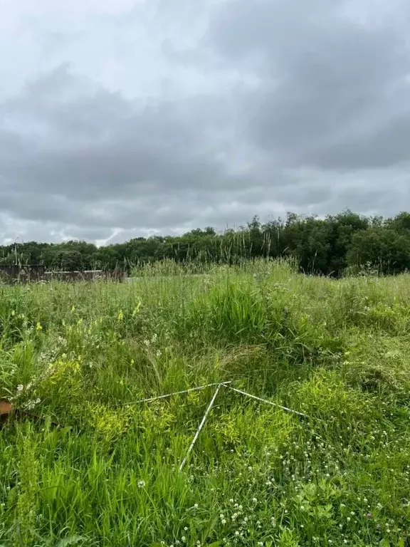 Дом в Камчатский край, Елизово Набережная ул. (174 м) - Фото 2