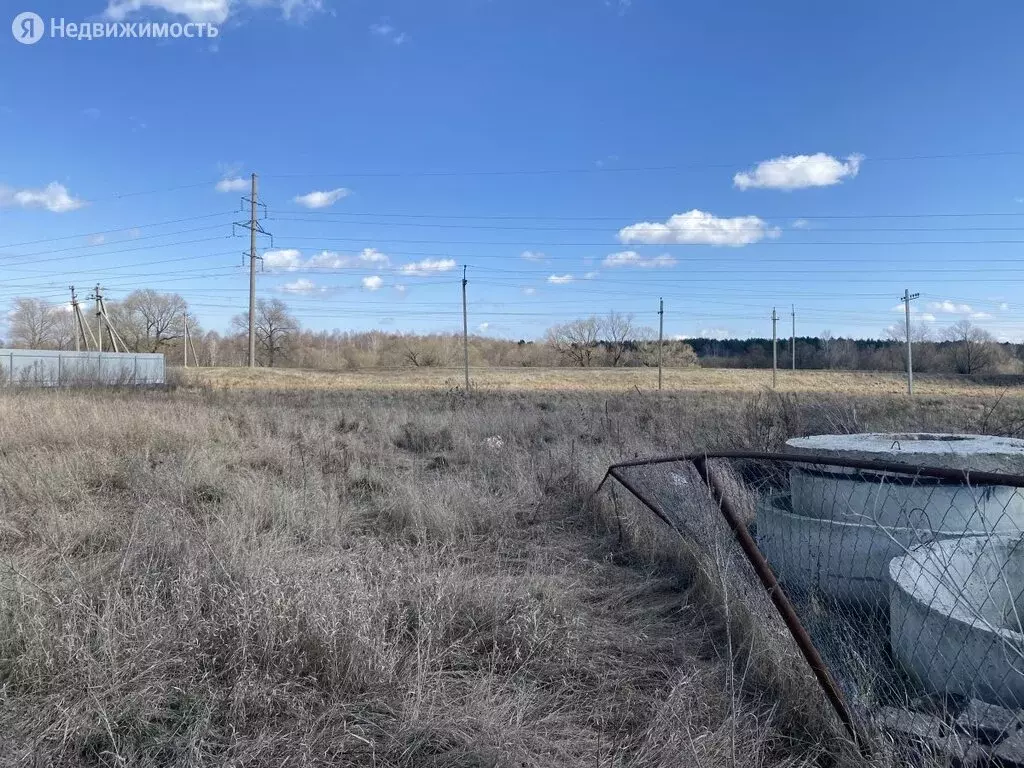 Лев кольцевая ул 65в село засечное отзывы. Производственная зона в поселке.