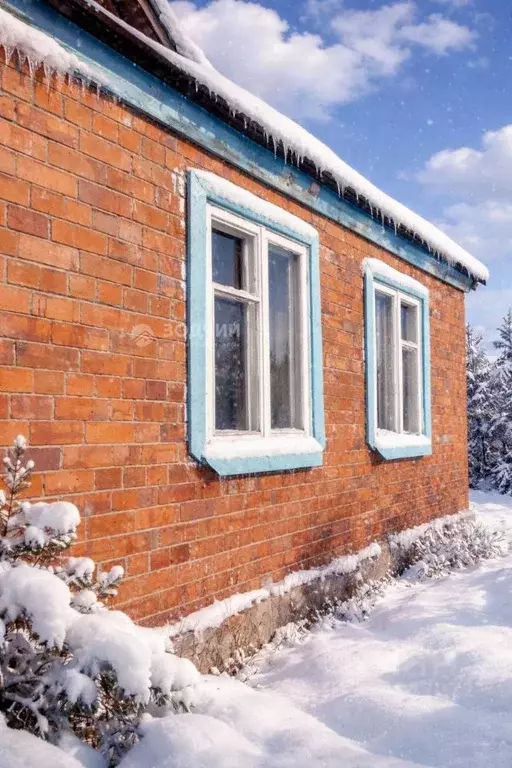 Дом в Чувашия, Канаш пер. Зарубина, 9 (52 м) - Фото 2