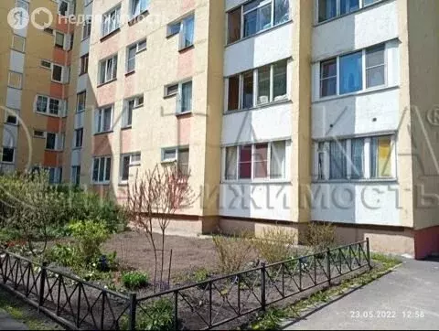 1-комнатная квартира: Пушкин, Ленинградская улица, 85/12 (35.9 м) - Фото 1