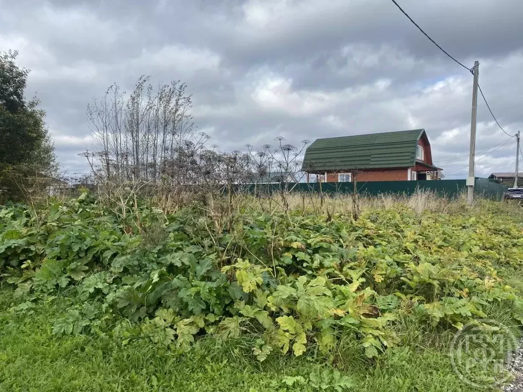 Участок в Ленинградская область, Лужский район, Заклинское с/пос, д. ... - Фото 2