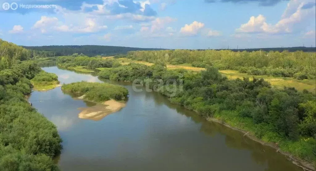 Участок в Репьевский сельсовет, деревня Шмаково (9.3 м) - Фото 1