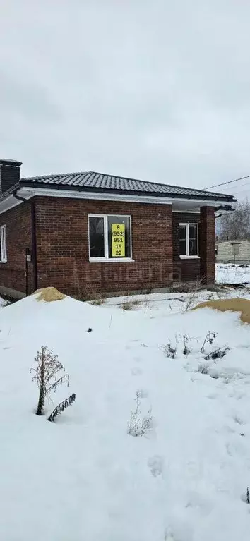 Дом в Воронежская область, с. Новая Усмань ул. Виноградная, 85 (102 м) - Фото 1