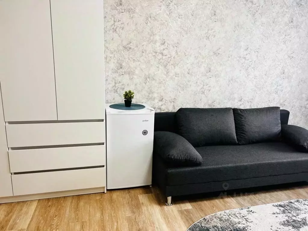 1-к кв. Новосибирская область, Искитим Советская ул., 245/4 (27.0 м) - Фото 1