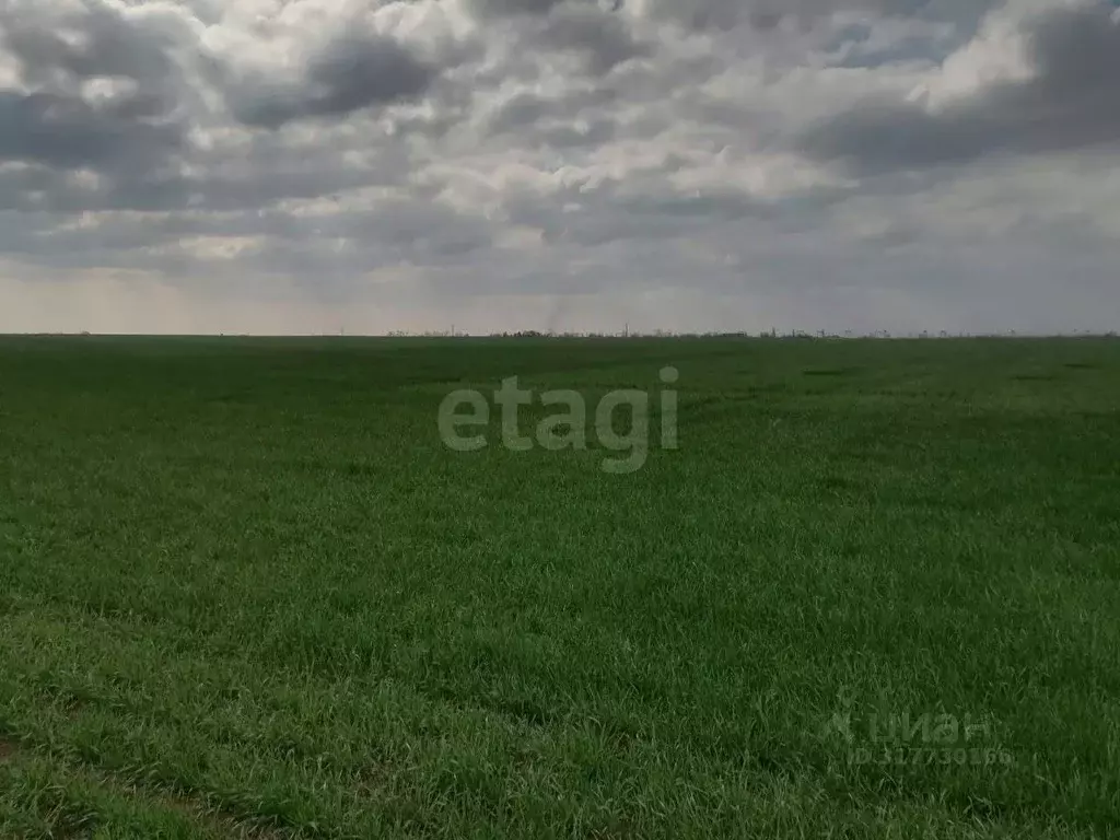 Участок в Крым, Симферопольский район, с. Новоандреевка  (135.0 сот.) - Фото 1