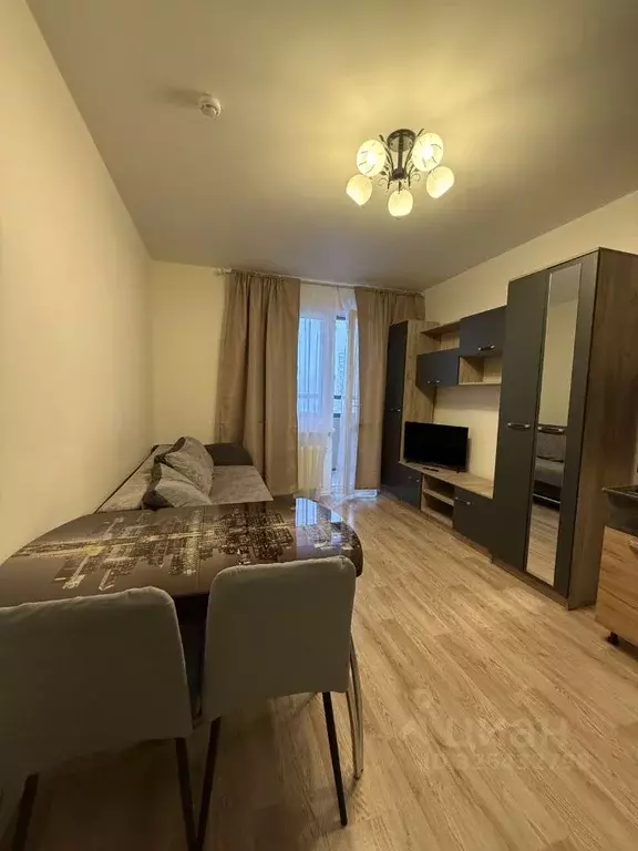 Студия Санкт-Петербург наб. Реки Каменки, 23 (19.5 м) - Фото 1