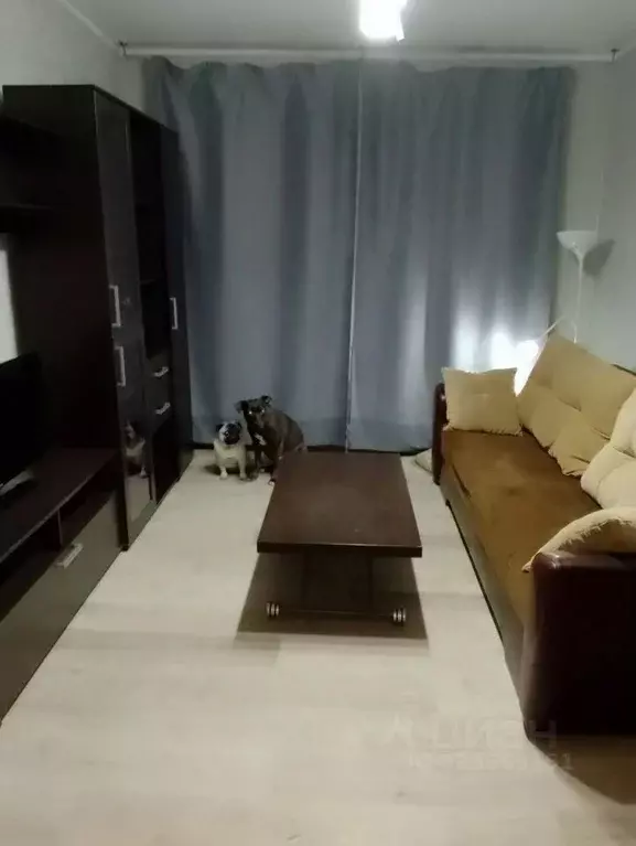 1-к кв. Москва Кетчерская ул., 10 (15.0 м) - Фото 2