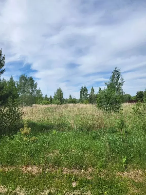 Участок 9,9 сот. (СНТ, ДНП) - Фото 1