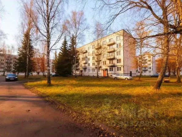 2-к кв. Псковская область, Гдовский район, Добручинская волость, пос. ... - Фото 2