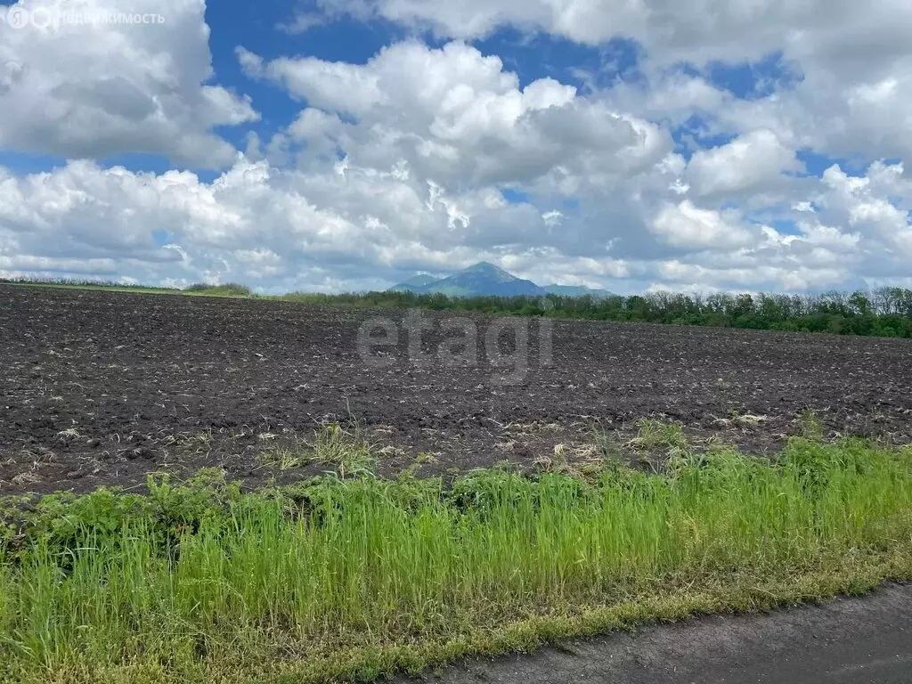Участок в село Садовое, Московская улица (8 м) - Фото 1