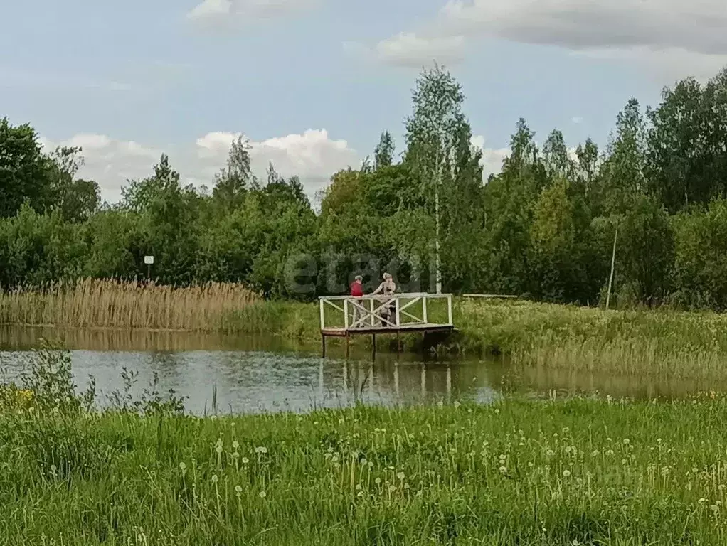 Участок в Ярославская область, Некрасовский муниципальный округ, д. ... - Фото 1
