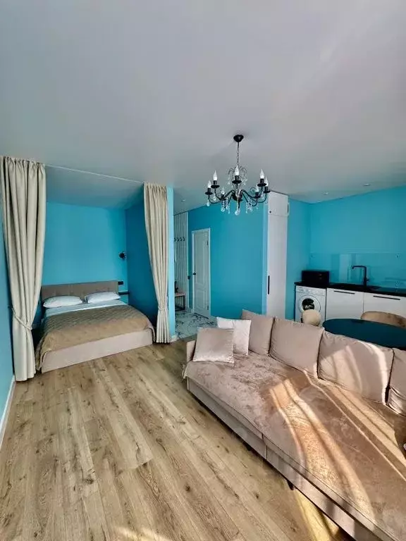 Студия Самарская область, Самара ул. Авроры, 148А (31.0 м) - Фото 2