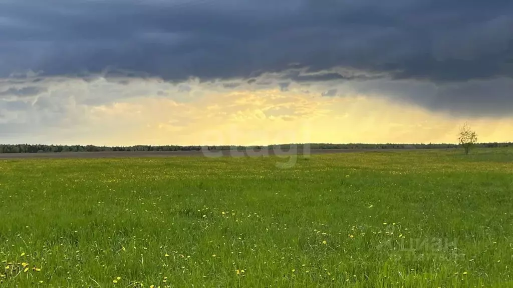 Участок в Марий Эл, Медведевский район, Нурминское с/пос, с. Нурма ул. ... - Фото 0