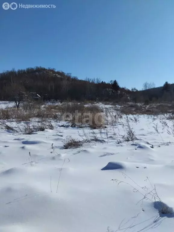 Участок в Благовещенск, посёлок Моховая Падь (10 м) - Фото 0