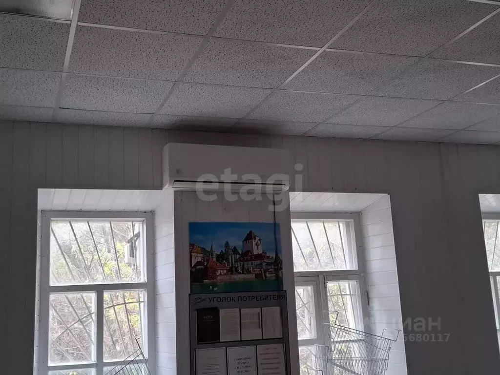 Торговая площадь в Воронежская область, Воробьевское с/пос, с. Рудня ... - Фото 0