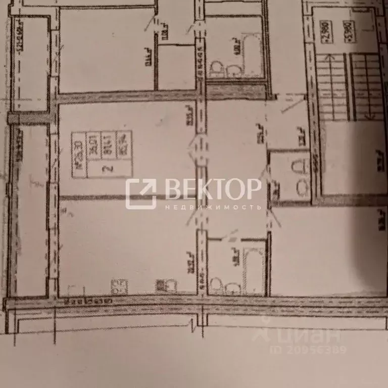 2-к кв. Костромская область, Кострома Лесная ул., 15А (85.0 м) - Фото 1