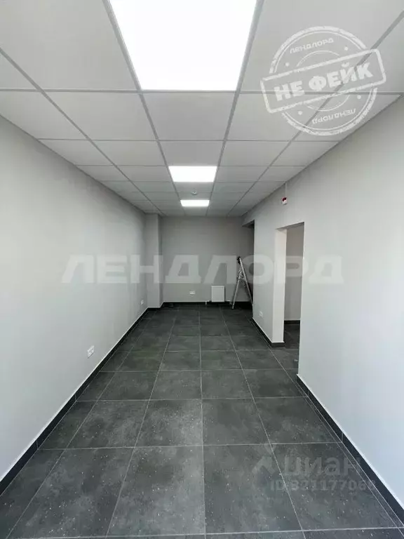 Помещение свободного назначения в Ростовская область, Ростов-на-Дону ... - Фото 0