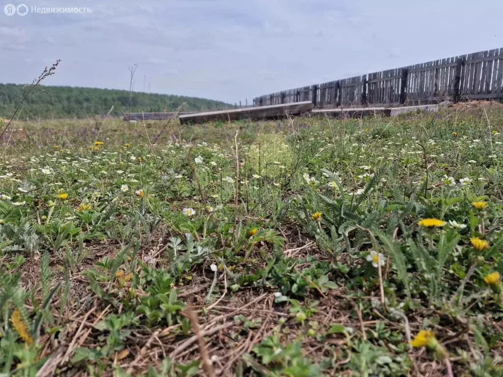 Участок в Иркутский муниципальный округ, деревня Куда, улица Михаила ... - Фото 2