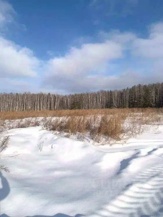 Участок в Свердловская область, Арамиль  (9.85 сот.) - Фото 0