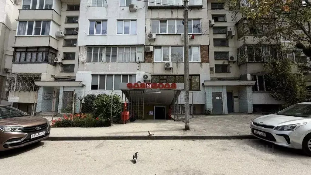 Помещение свободного назначения в Севастополь ул. Генерала Лебедя, 39 ... - Фото 1