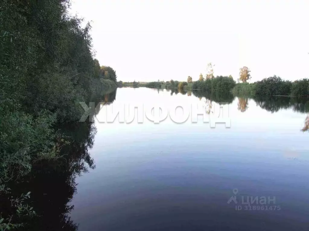 Участок в Новосибирская область, Колыванский район, Лира садовые ... - Фото 0