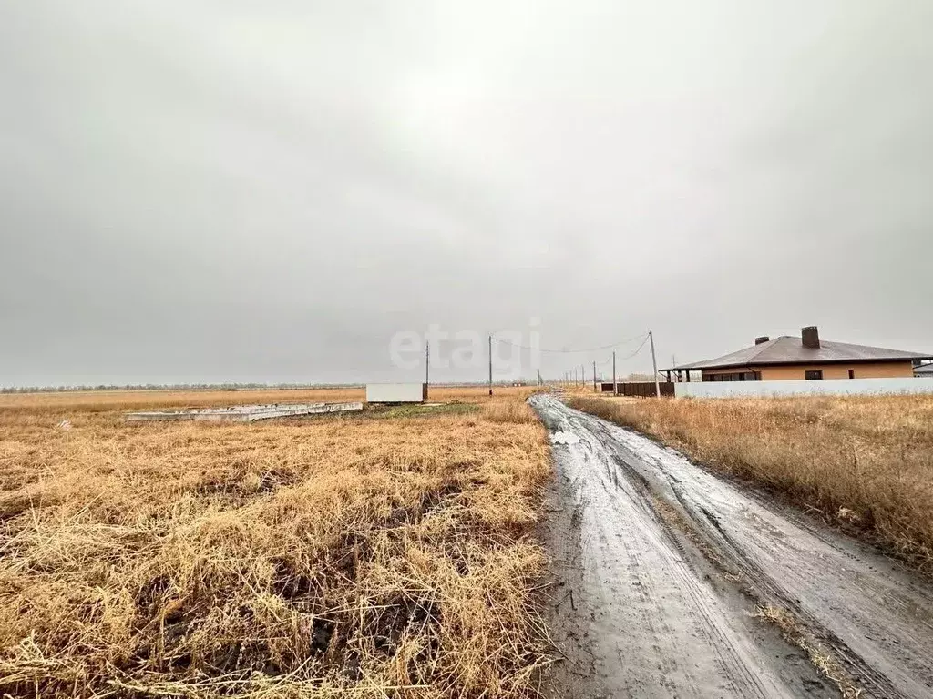 Участок в Воронежская область, Новохоперск городское поселение, ... - Фото 0
