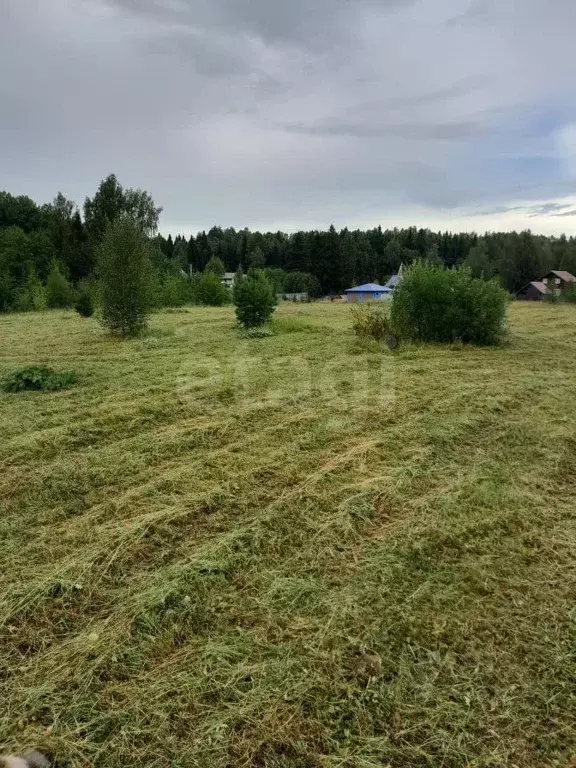 Участок в Вологодская область, д. Сестрилка  (560.0 сот.) - Фото 1