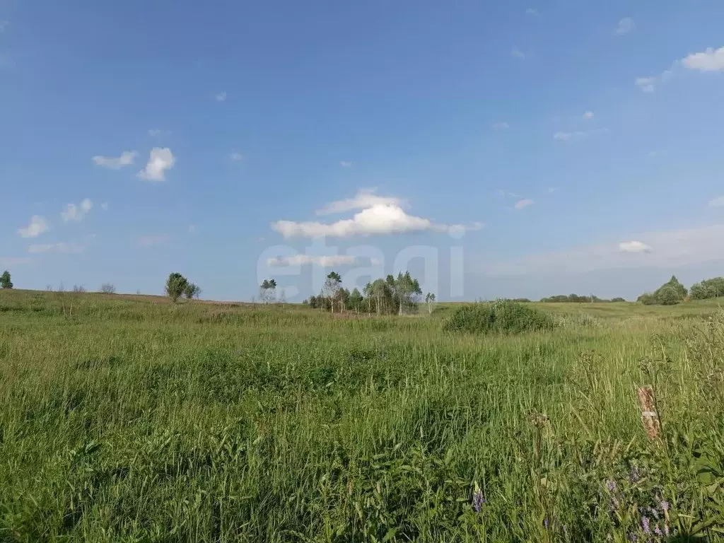 Участок в Смоленская область, Смоленский муниципальный округ, д. ... - Фото 1