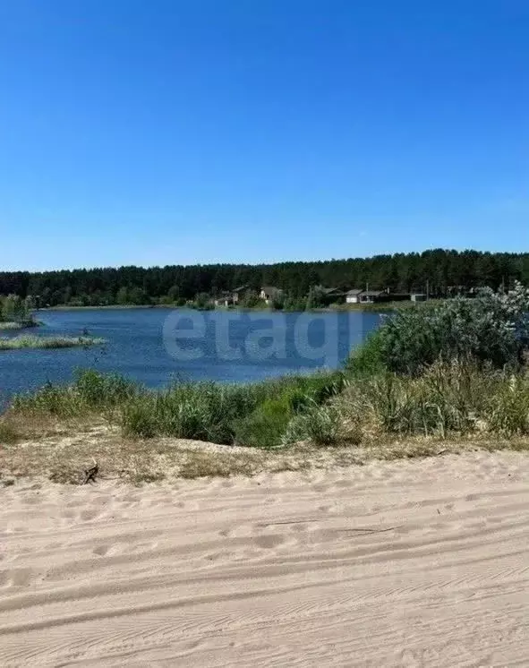 Участок в Брянская область, Сельцо  (6.0 сот.) - Фото 1