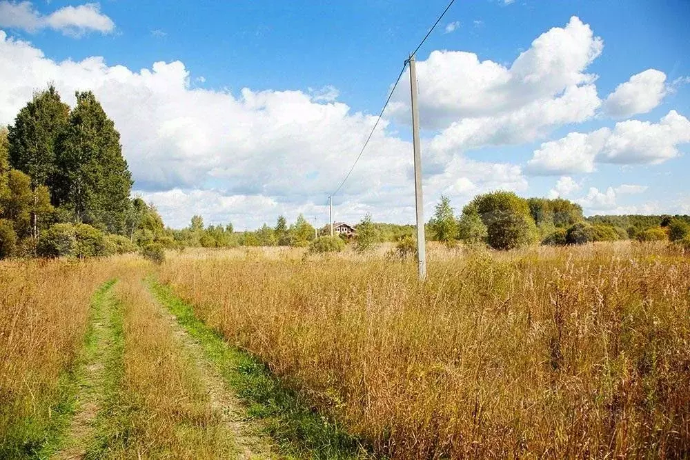 Участок в Калужская область, Мещовск городское поселение, с. Новоселки ... - Фото 0