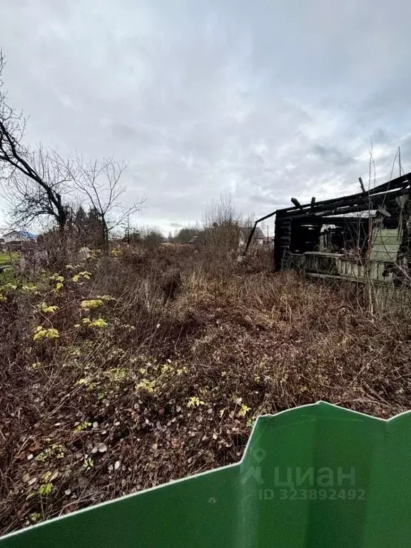Участок в Тверская область, Конаковский муниципальный округ, д. Сажино ... - Фото 1