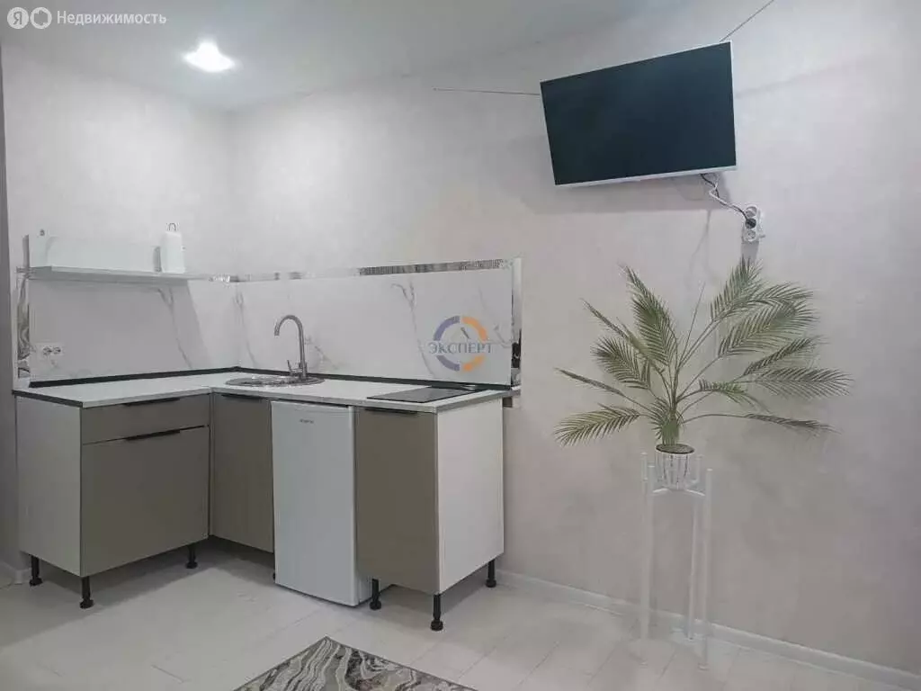 Квартира-студия: Великий Новгород, Западный район, проспект Мира, 25к2 ... - Фото 1