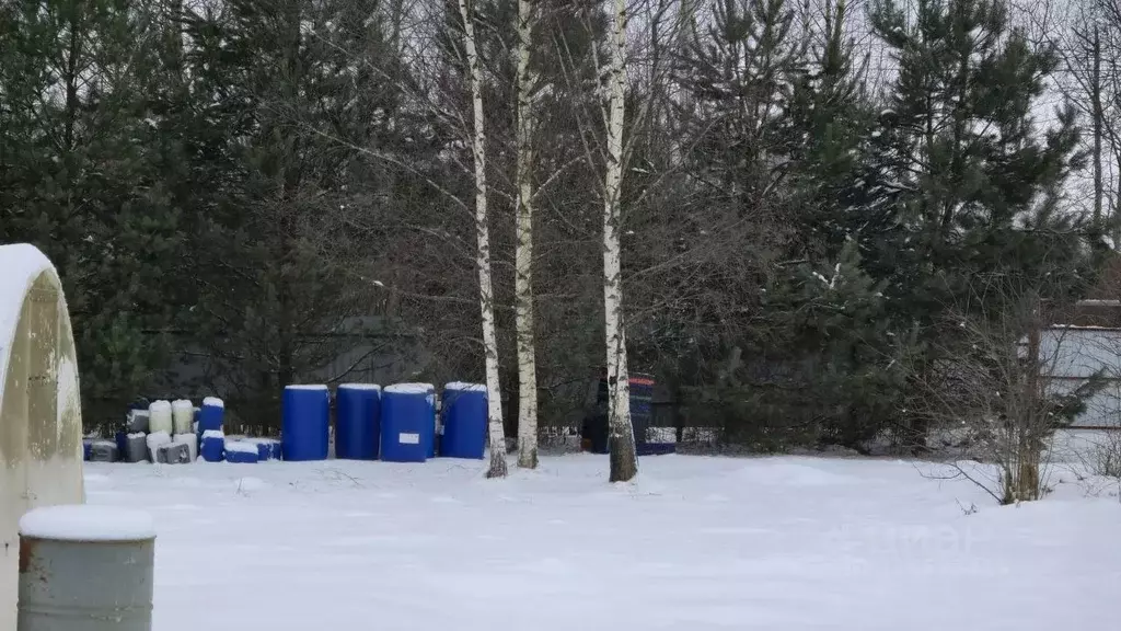 Участок в Ярославская область, Рыбинский муниципальный округ, ... - Фото 2