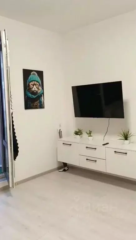 Студия Санкт-Петербург аллея Арцеуловская, 19 (25.0 м) - Фото 1