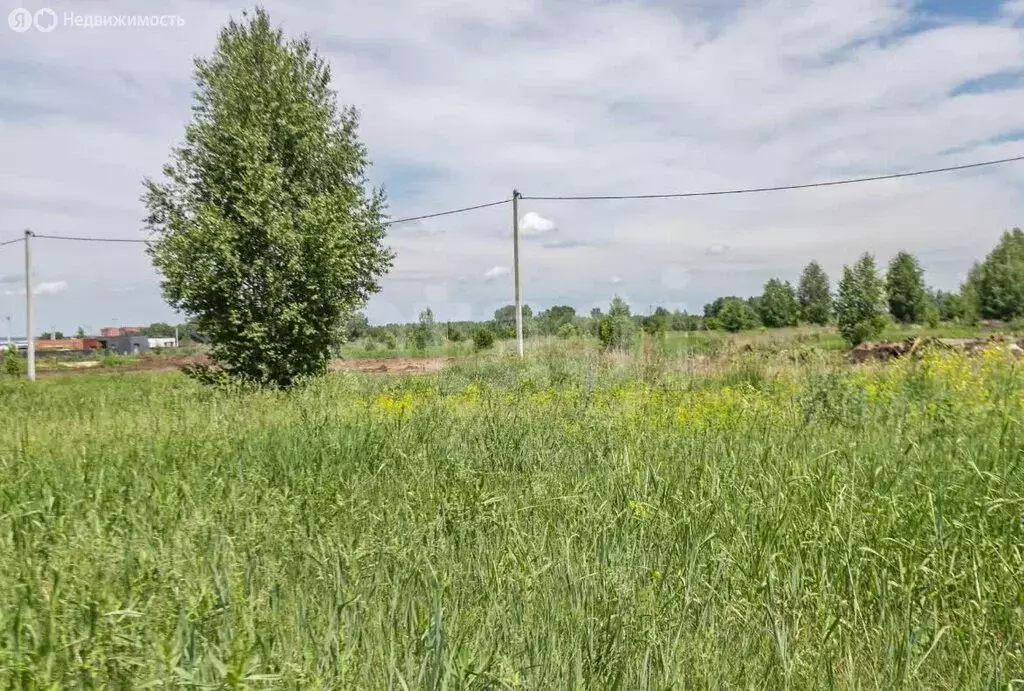 Участок в Бердск, Дивная улица (8.54 м) - Фото 2